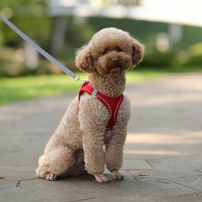 PawComfort™ Adjustable Harness & Lead Set for Small Dogs and Puppies