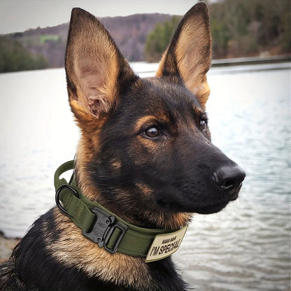 CommandK9™ Military-Style Training Collar with Handle & Patch