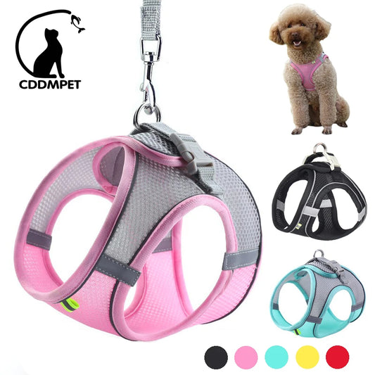 PawComfort™ Adjustable Harness & Lead Set for Small Dogs and Puppies